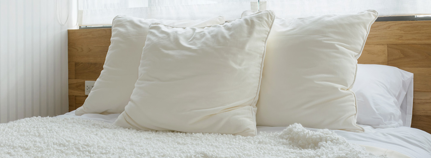 Icomfort 2025 everfeel pillow