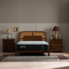 ProAdapt 2.0 - Image 6