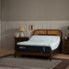 ProAdapt 2.0 - Image 7