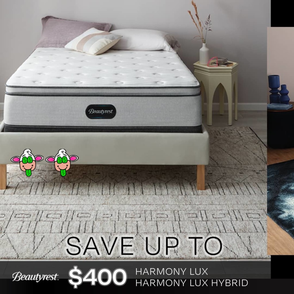 Black Friday Sale