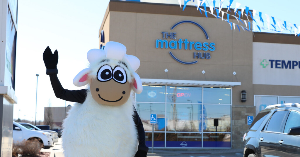 cheap sheep at mattress hub storefront