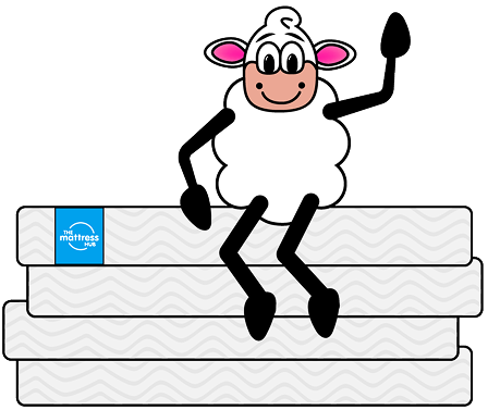 Cheap sheep on a mattress