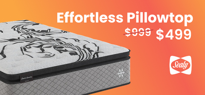 Summer Savings Effortless PT